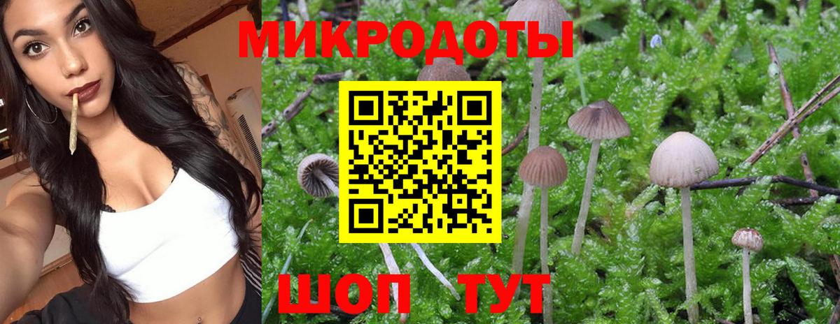 Канаш  наркотики  Псилоцибиновые грибы Psilocybe  Вход с VPN  Галлюциногенные грибы GOLDEN TEACHER 